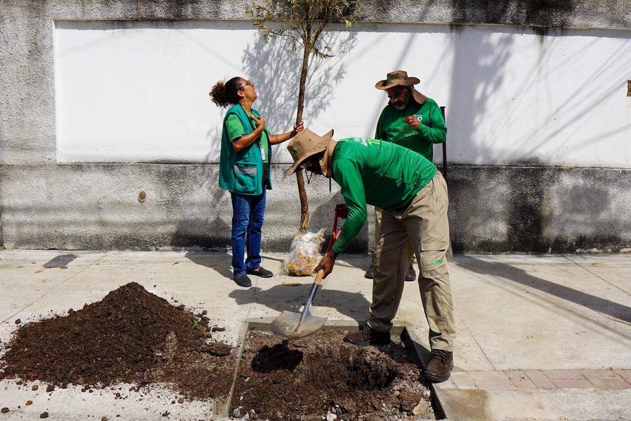 Prefeitura lança Planta + Rio: programa permite que cariocas solicitem mudas de plantas pelos canais 1746
