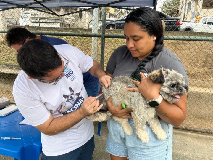 Ações de bem-estar animal são realizadas na Taquara pelo Conselho de Favelas e Subprefeitura