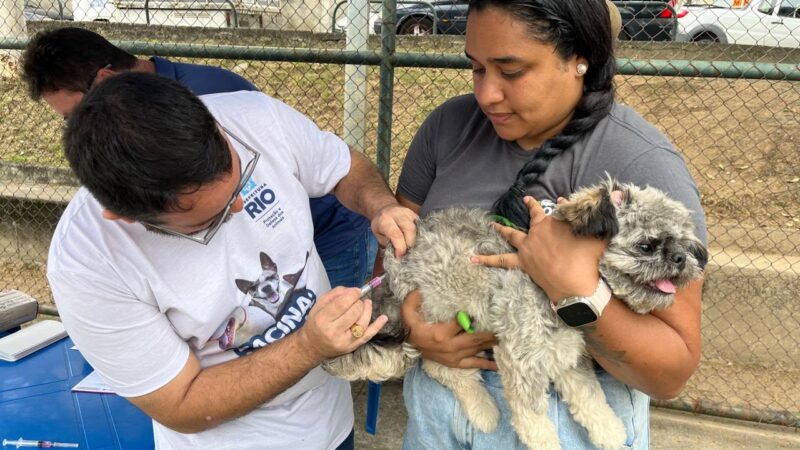 Ações de bem-estar animal são realizadas na Taquara pelo Conselho de Favelas e Subprefeitura