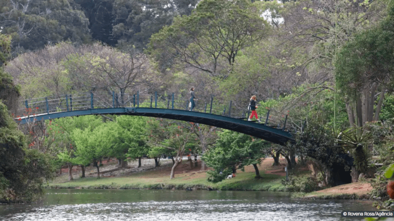 Descubra a Essência de São Paulo no Parque Ibirapuera: Uma Jornada Turística Inesquecível