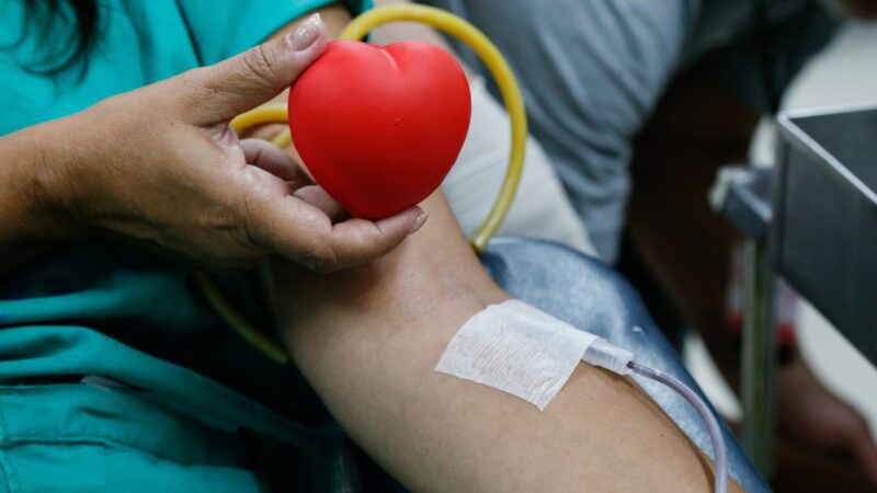 Hospital Lourenço Jorge Lança Campanha de Doação de Sangue