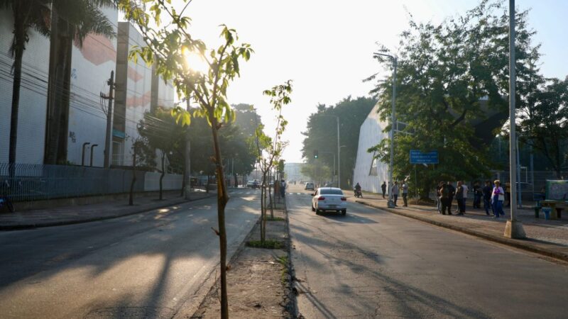 Projeto Corredor Verde Começa em Irajá, Zona Norte