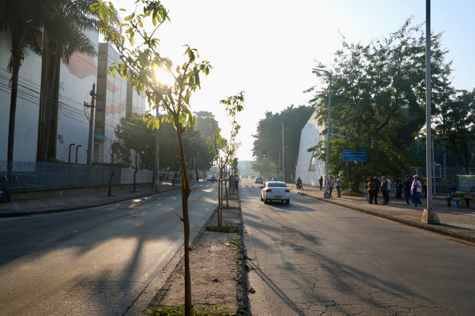 Projeto Corredor Verde Começa em Irajá, Zona Norte