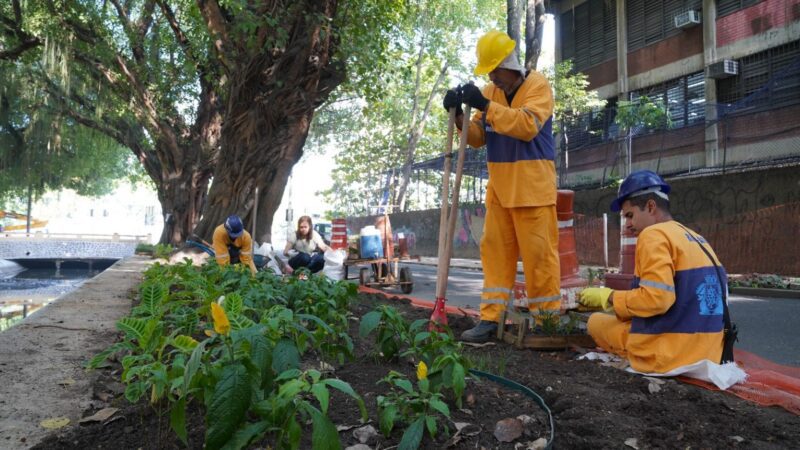 Iniciativa Verde: Jardins às Margens do Canal da Avenida Visconde de Albuquerque Captam Água da Chuva