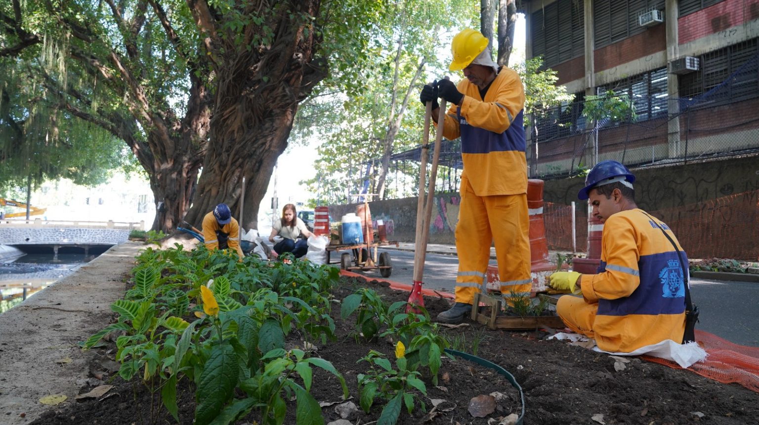 Iniciativa Verde: Jardins às Margens do Canal da Avenida Visconde de Albuquerque Captam Água da Chuva