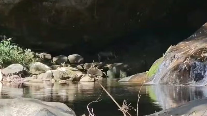 Nova Friburgo enfrenta seca que diminui o nível das cachoeiras e seca mananciais na Pedra do Caledônia