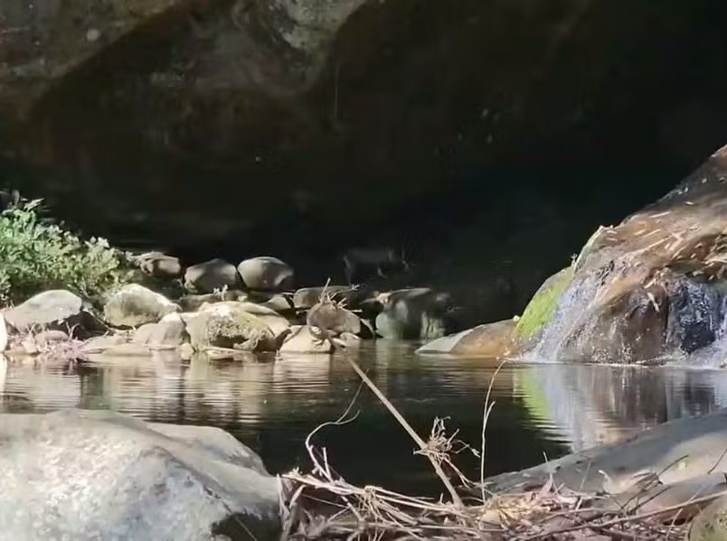 Nova Friburgo enfrenta seca que diminui o nível das cachoeiras e seca mananciais na Pedra do Caledônia