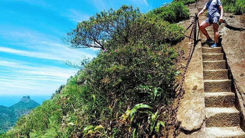 Uma nova Política Municipal de Incentivo ao Ecoturismo será estabelecida no Rio de Janeiro