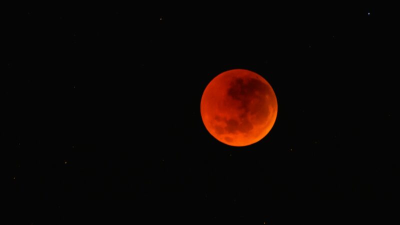 A “Lua de Sangue” chegou: Tudo para você saber sobre o eclipse total de sexta-feira (14/03)